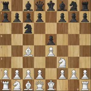 Schach zug